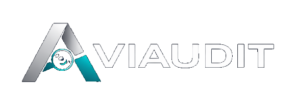Aviaudit